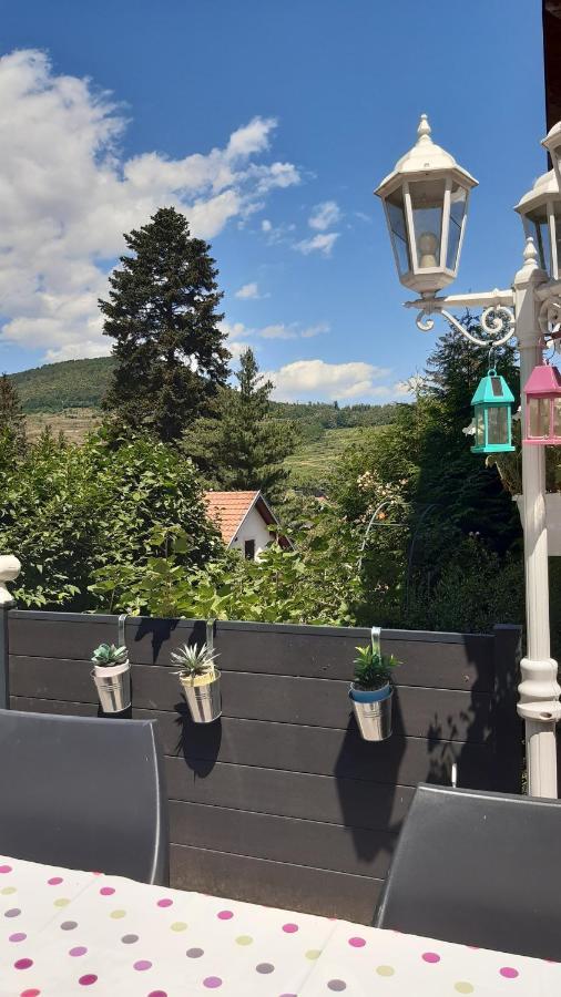 Ravissant Studio Dans Un Cadre Agreable Soultz-Haut-Rhin Dış mekan fotoğraf