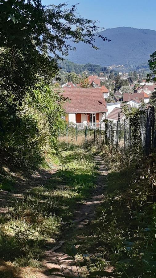 Ravissant Studio Dans Un Cadre Agreable Daire Soultz-Haut-Rhin Dış mekan fotoğraf